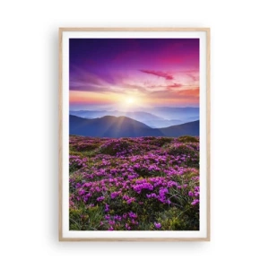 Poster in einem Rahmen aus heller Eiche - Kräuter dufteten nach frischen Trauben von den Feldern - 70x100 cm