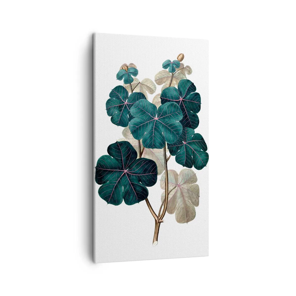 Bild auf Leinwand - Leinwandbild - Aus dem alten Herbarium - 45x80 cm