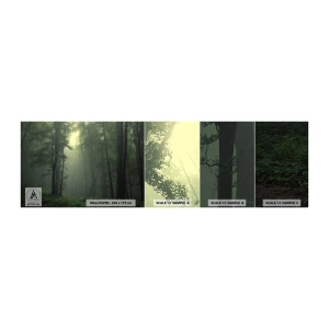Fototapetenmuster Standard Eco - Bevor er aufwacht - Landschaft, Wald, Natur - 100x30 cm