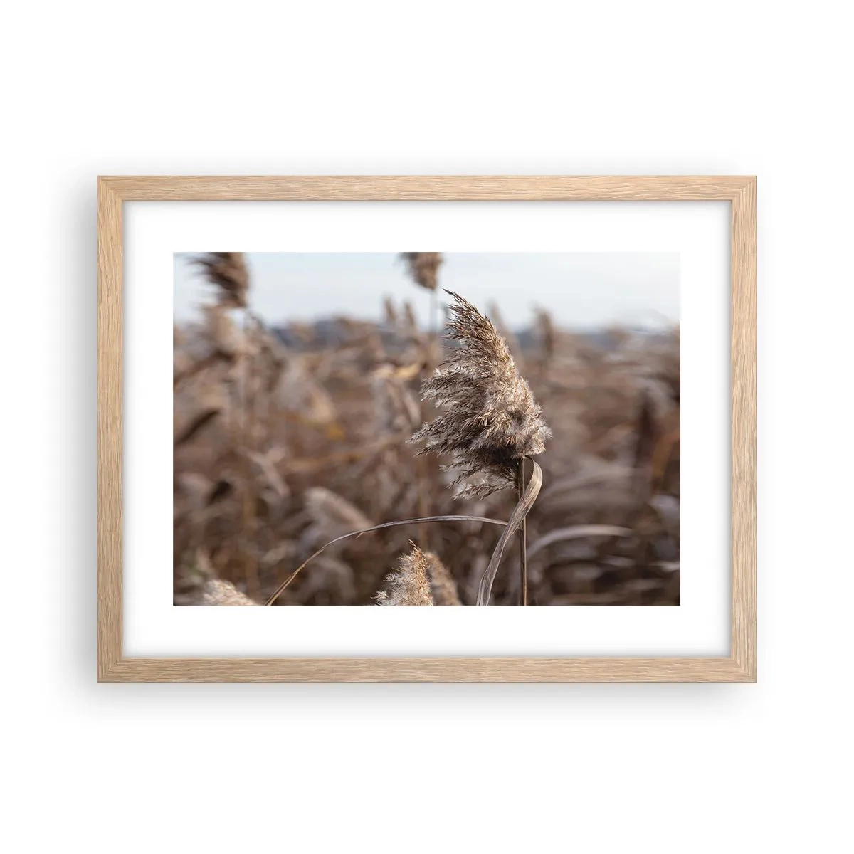 Poster in einem Rahmen aus heller Eiche - Zeit, mit dem Wind zu gehen - 40x30 cm