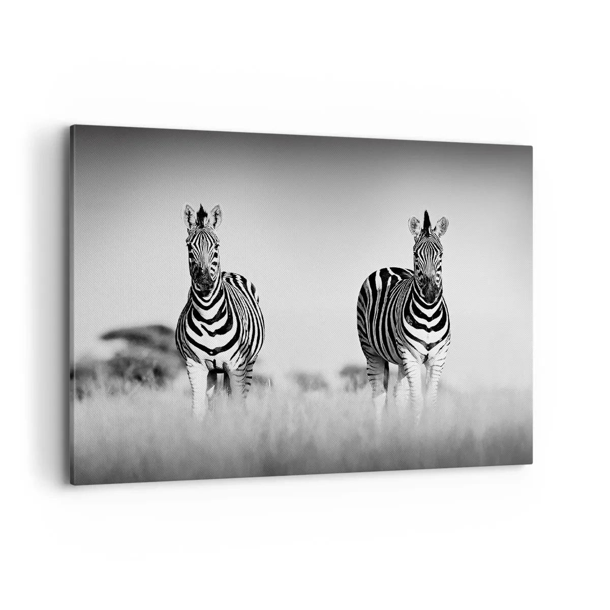Bild auf Leinwand - Leinwandbild - Zwei Zebras in der Savanne im monochromen Stil - 100x70cm - Die Welt ist doch schwarz-weiß - Moderne Wanddekoration für Wohnzimmer und Schlafzimmer ARTTOR