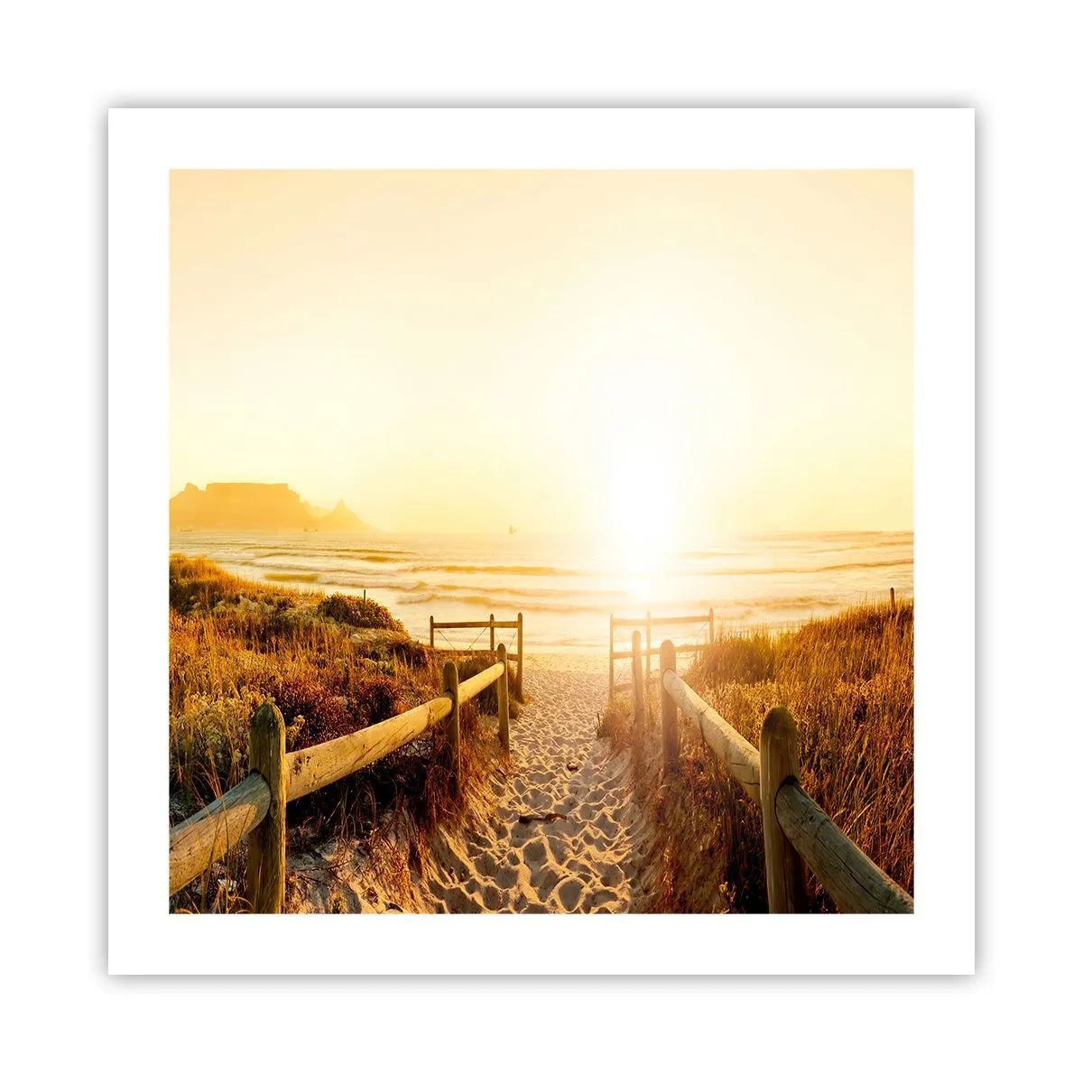 Poster - Über die Düne, der Sonne entgegen - 50x50 cm