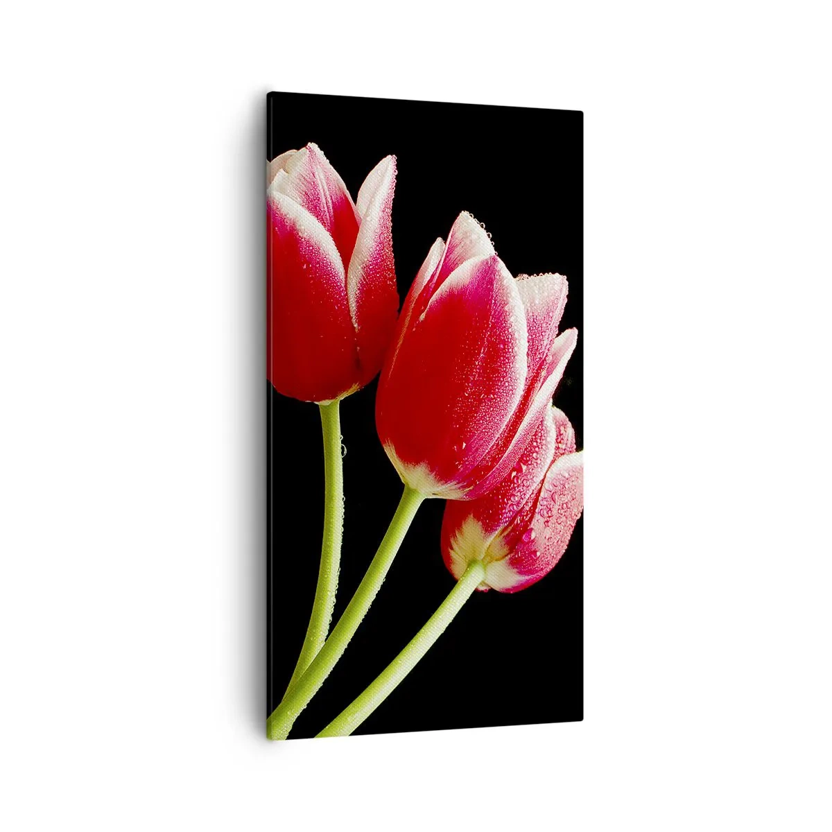 Bild auf Leinwand - Leinwandbild - Ein Versprechen der reinen Liebe - 55x100 cm