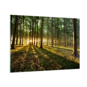 Glasbild - Bild auf glas - Eine Waldlichtung, die von den Strahlen der aufgehenden Sonne erleuchtet wird - 100x70cm - Alle Frühlingsfotografie - Moderne Wanddekoration für Wohnzimmer und Schlafzimmer ARTTOR