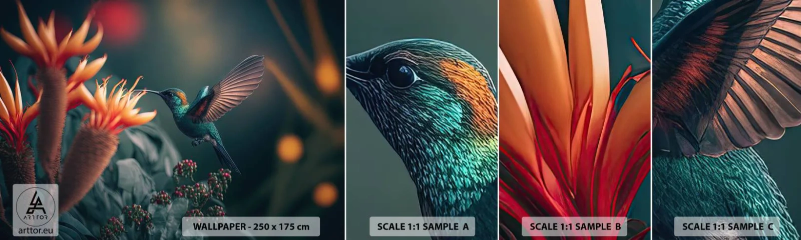 Fototapetenmuster Standard Eco - Wirklich buntes Leben - Vogel, Exotisch, Blume - 100x30 cm