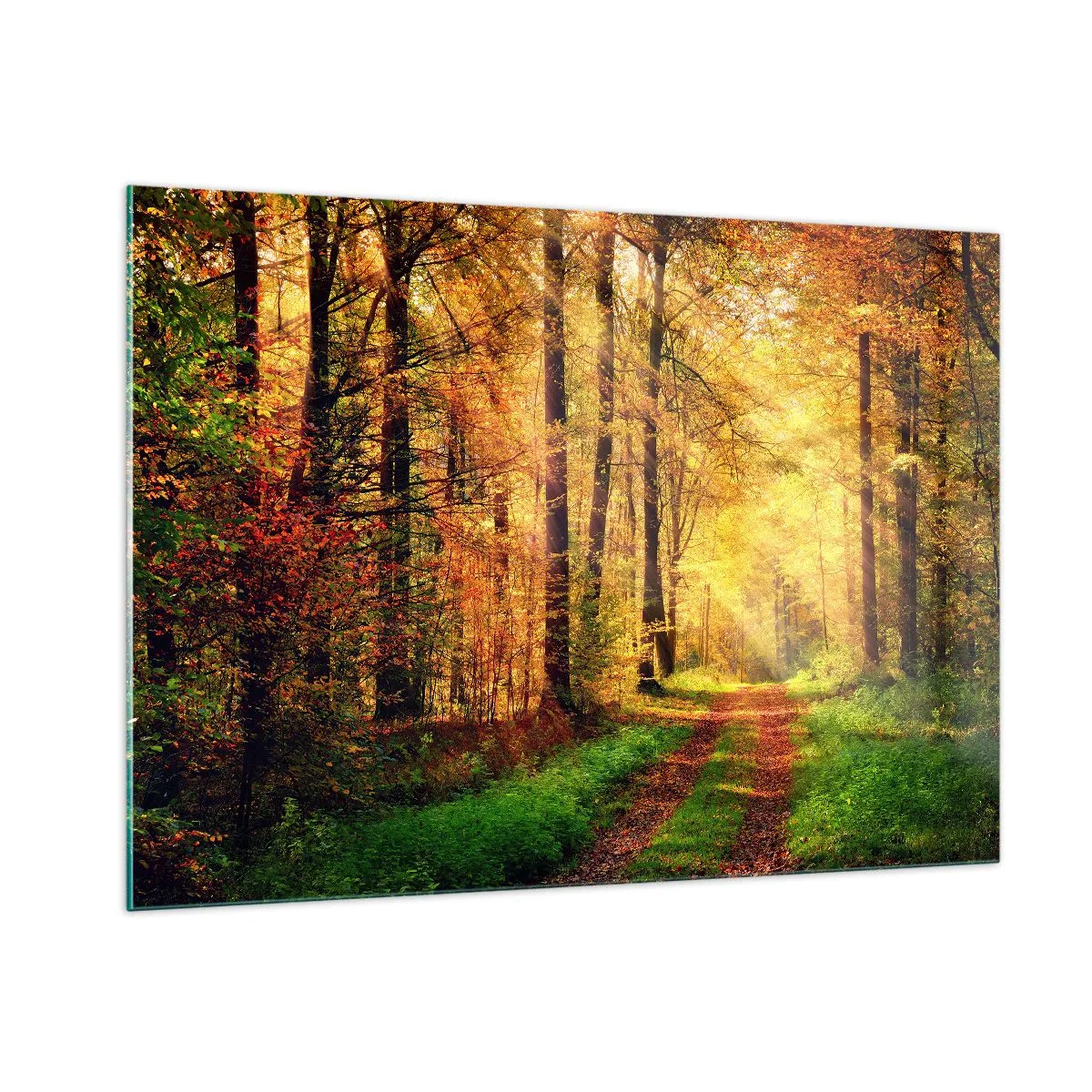 Glasbild - Bild auf glas - Herbstpfad im Wald mit Sonnenstrahlen - 100x70cm - Waldgoldene Stille - Moderne Wanddekoration für Wohnzimmer und Schlafzimmer ARTTOR