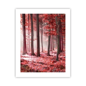 Poster - Rot ist genauso schön - 40x50 cm