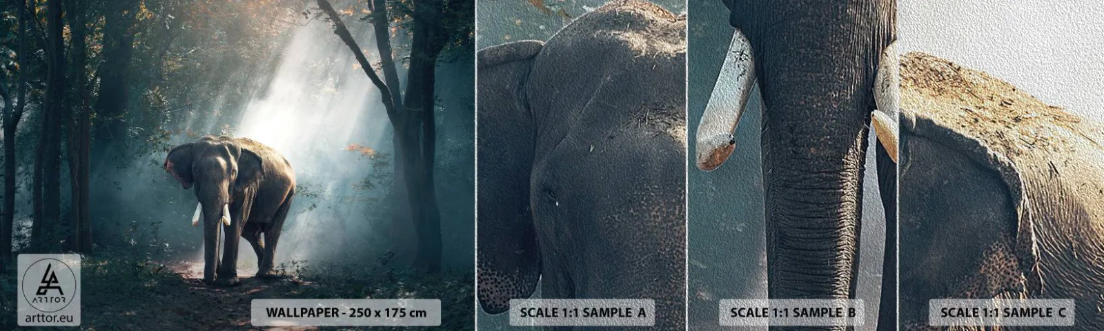 Fototapeten Muster Premium Sand - Ein gemütlicher Spaziergang - Tiere, Elefant, Dschungel - 100x30 cm