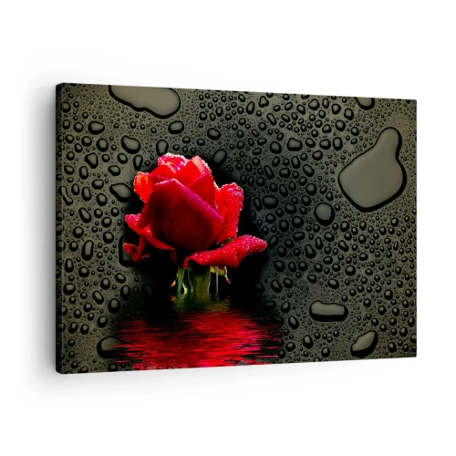 Bild auf Leinwand - Leinwandbild - Rote Rose mit Wassertropfen auf dunklem Hintergrund - 70x50cm - rot und Schwarz - Moderne Wanddekoration für Wohnzimmer und Schlafzimmer ARTTOR