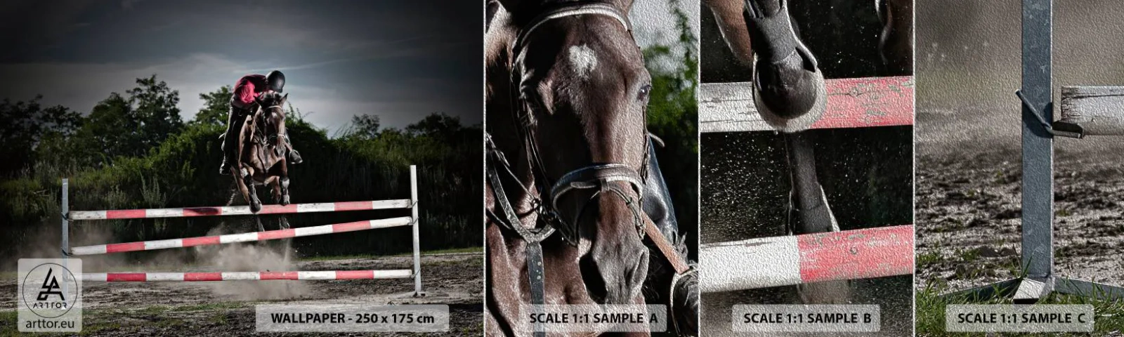 Fototapeten Muster Premium Sand - Gemeinsam zum Sieg - Tiere, Pferd, Sport - 100x30 cm