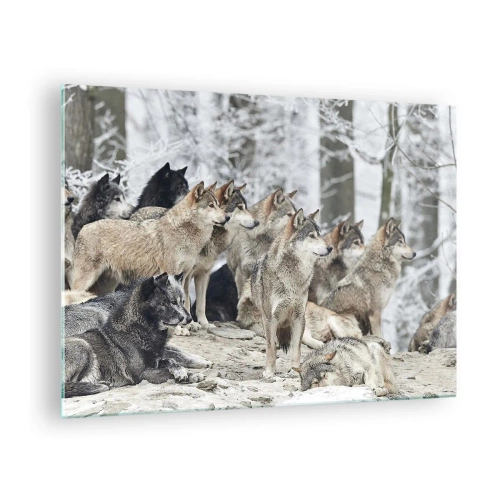 Glasbild - Bild auf glas - Ein Wolfsrudel im Winterwald - 70x50cm - Familie und Freunde - Moderne Wanddekoration für Wohnzimmer und Schlafzimmer ARTTOR