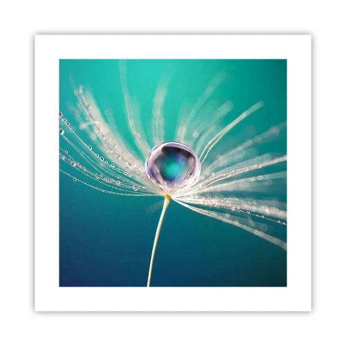 Poster - Mystischer Moment - 40x40 cm