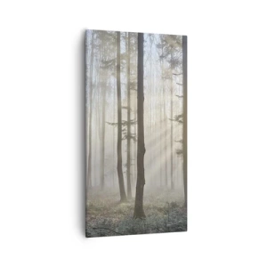 Bild auf Leinwand - Leinwandbild - Der Nebel ist auch aufgewacht - 55x100 cm