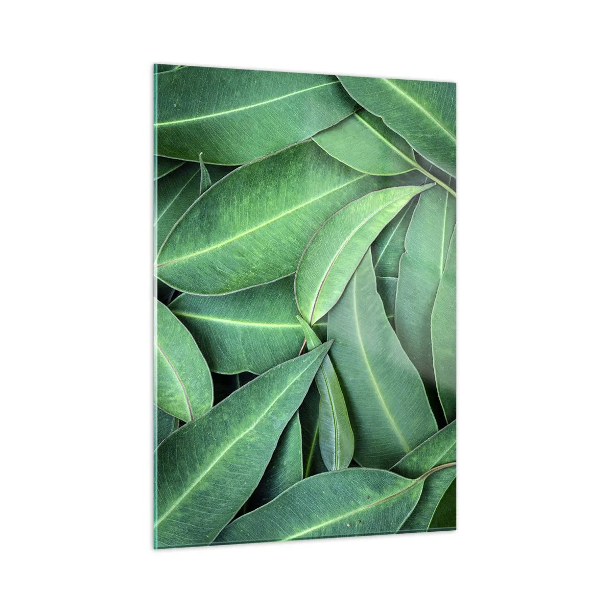 Glasbild - Bild auf glas - Nahaufnahme von in Schichten angeordneten grünen Blättern - 50x70cm - Saftig und frisch - Moderne Wanddekoration für Wohnzimmer und Schlafzimmer ARTTOR