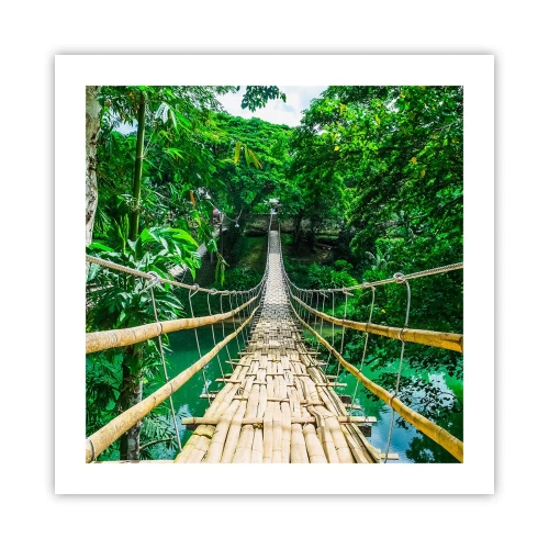 Poster - Monkey Bridge über das Grün - 50x50 cm