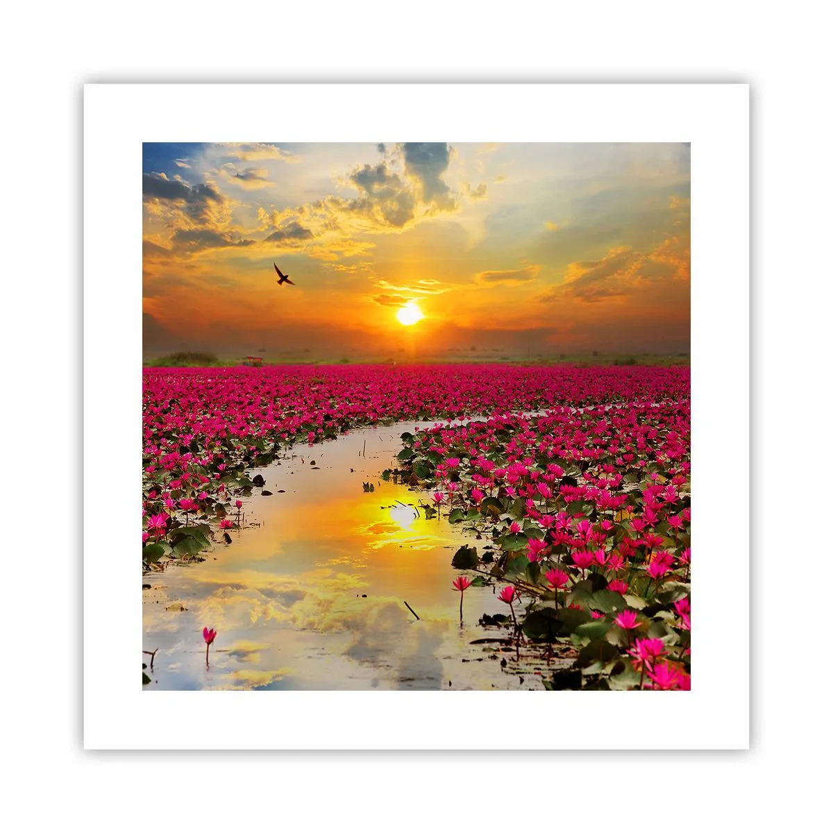 Poster - Das geheime Leben des Sees - 40x40 cm