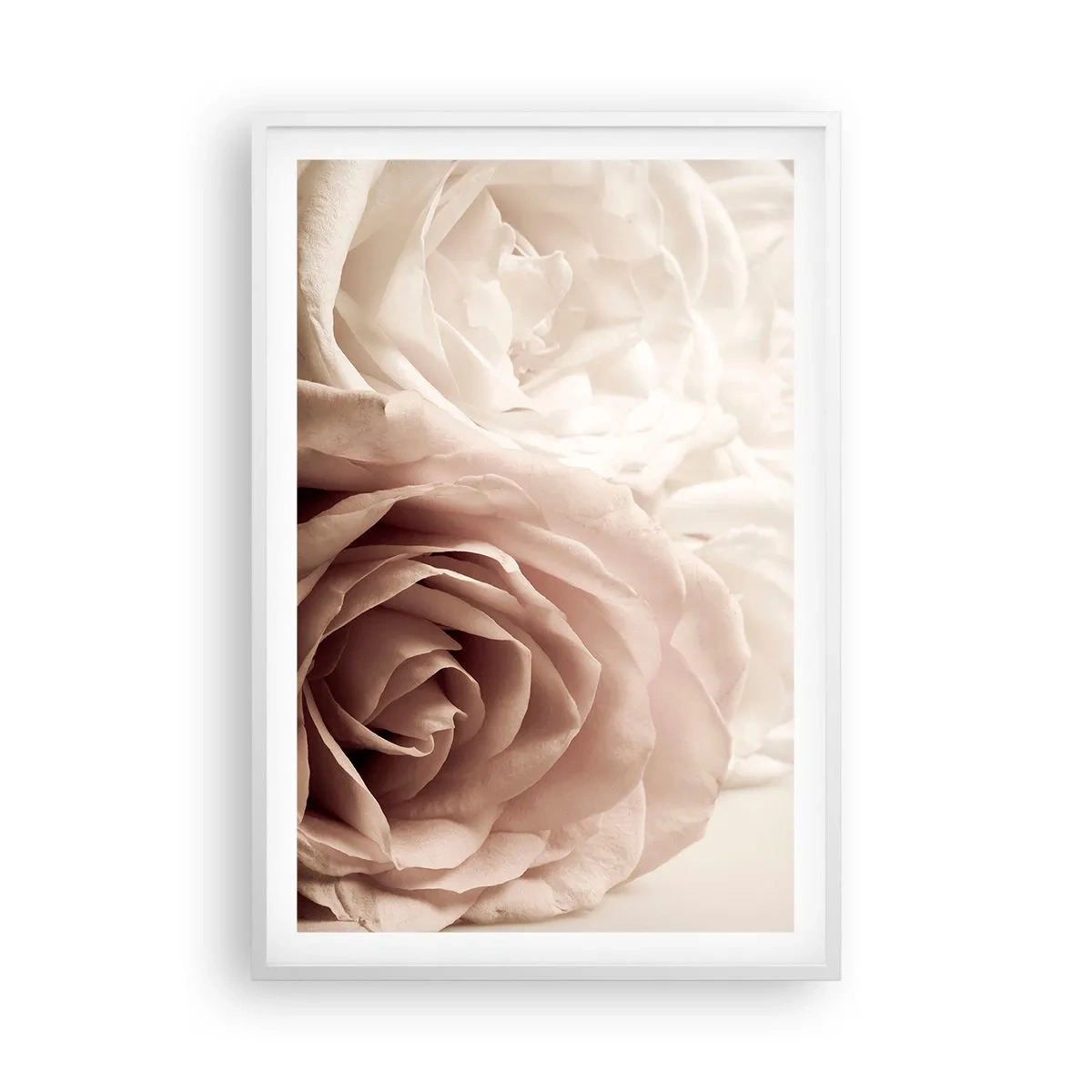 Poster in einem weißen Rahmen - Im Herzen der Rose - 61x91 cm