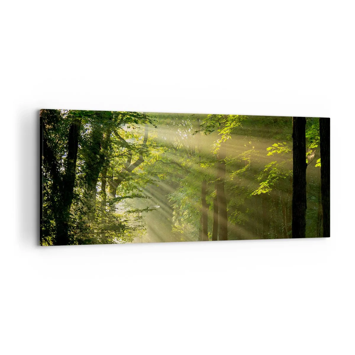 Bild auf Leinwand - Leinwandbild - Waldweg mit Sonnenstrahlen, die durch die Bäume scheinen - 120x50cm - Waldmoment - Moderne Wanddekoration für Wohnzimmer und Schlafzimmer ARTTOR