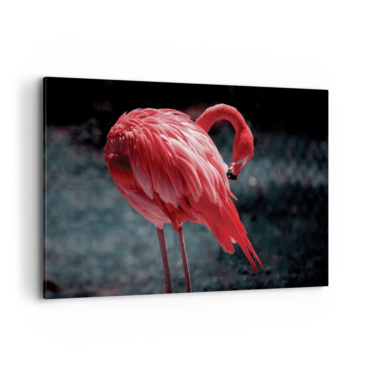 Bild auf Leinwand - Leinwandbild - Ein rosa Flamingo auf dunkelgrünem Hintergrund - 120x80cm - Ein purpurrotes Gedicht der Natur - Moderne Wanddekoration für Wohnzimmer und Schlafzimmer ARTTOR