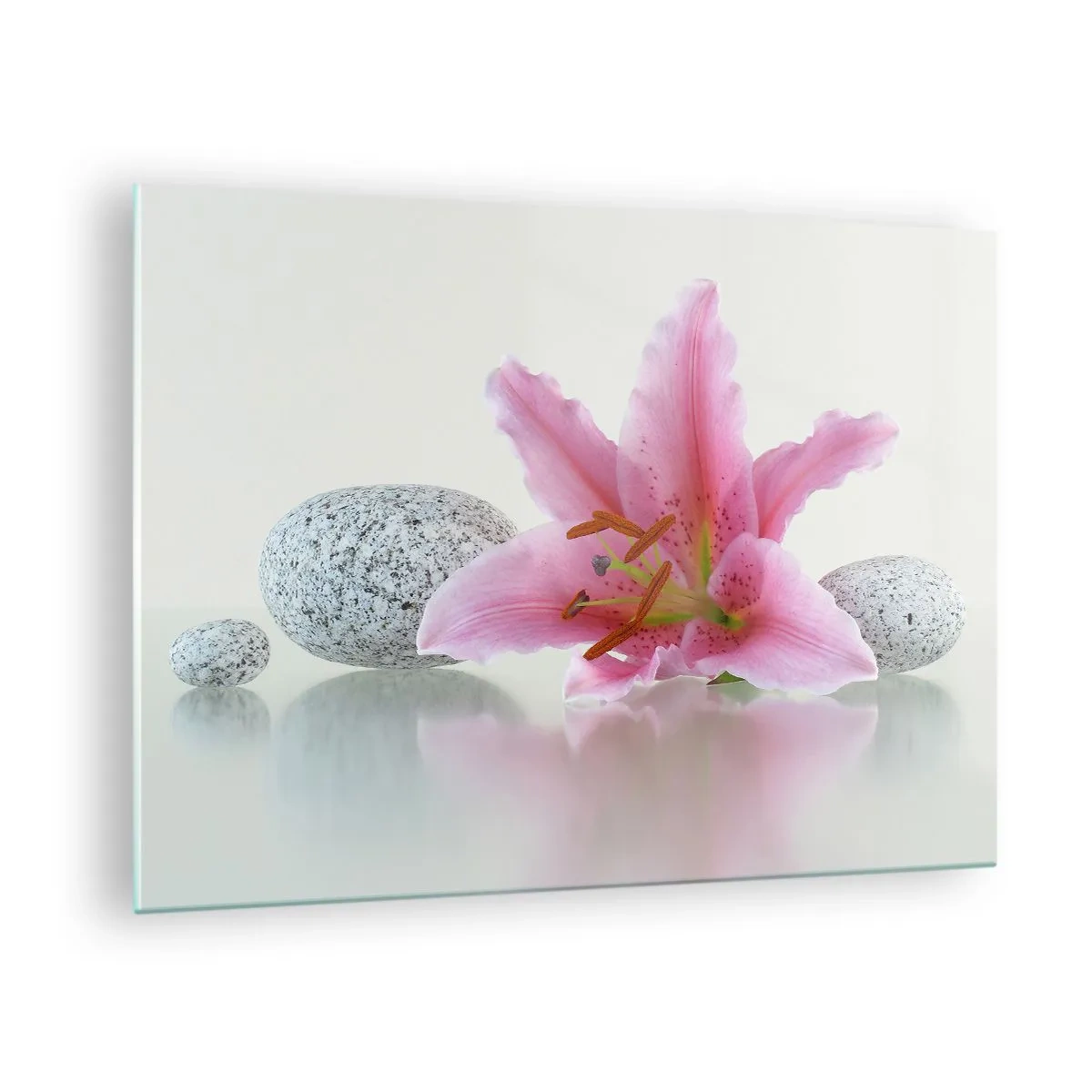 Glasbild - Bild auf glas - Rosa Lilie vor einem Hintergrund aus weißen Steinen im Spa-Stil - 70x50cm - Eine Studie in Pink, Grau und Weiß - Moderne Wanddekoration für Wohnzimmer und Schlafzimmer ARTTOR