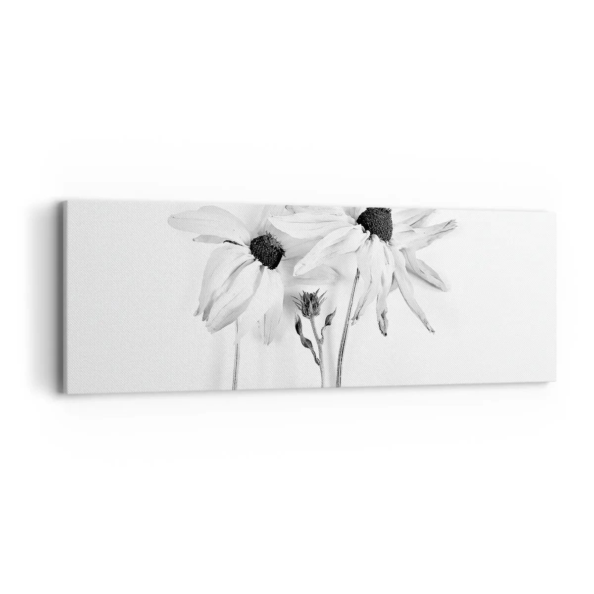 Bild auf Leinwand - Leinwandbild - Niemand will allein sein - 90x30 cm