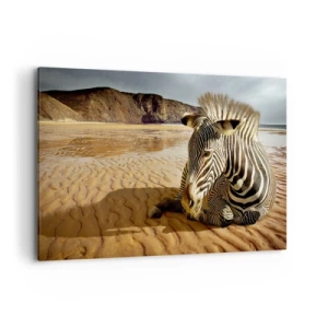 Bild auf Leinwand - Leinwandbild - Ein Zebra ruht sich an einem Sandstrand mit Klippen im Hintergrund aus. - 120x80cm - Wir passen zusammen - Moderne Wanddekoration für Wohnzimmer und Schlafzimmer ARTTOR