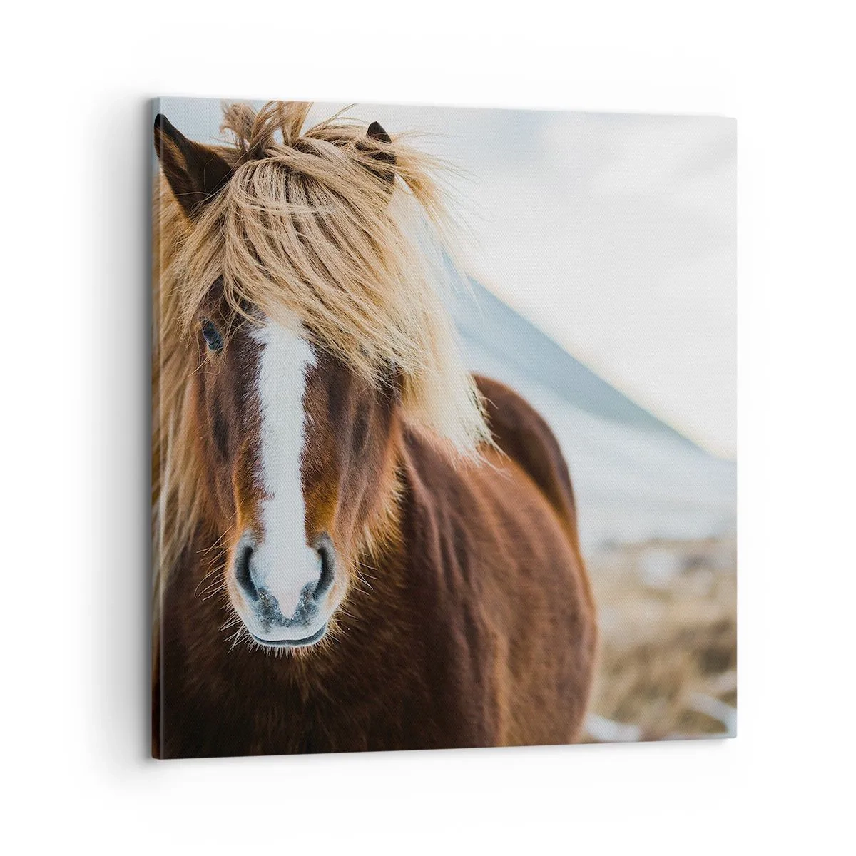 Bild auf Leinwand - Leinwandbild - Spürst du die Freiheit? - 60x60 cm