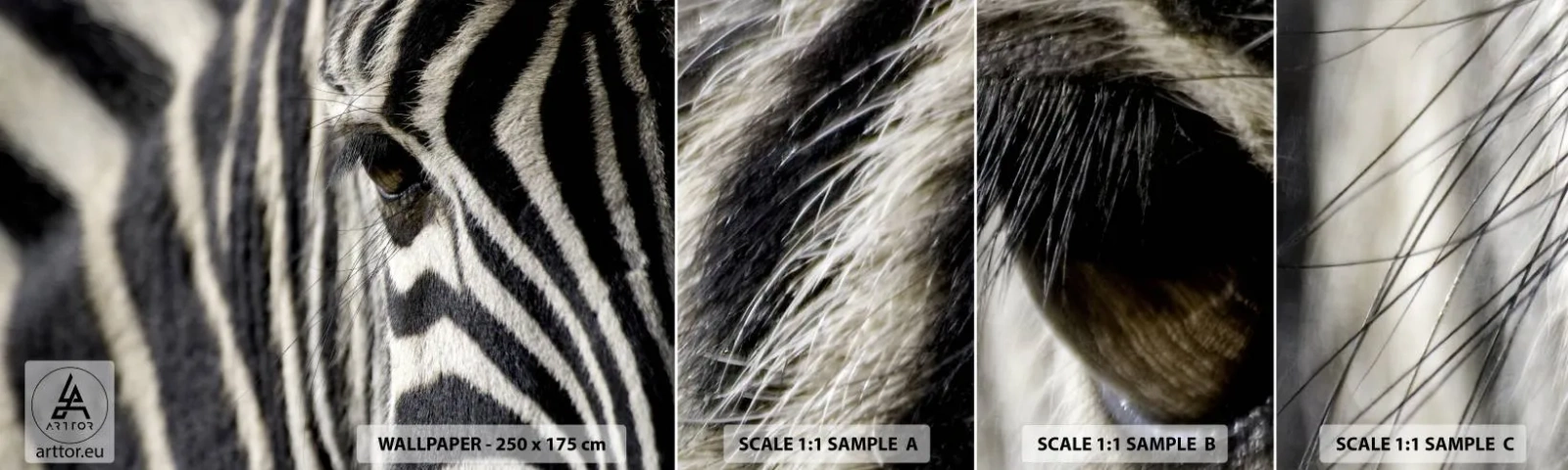 Fototapeten Muster Selbstklebend Deluxe Sticker - Gestreiftes Porträt - Tiere, Rippen, Afrika - 100x30 cm