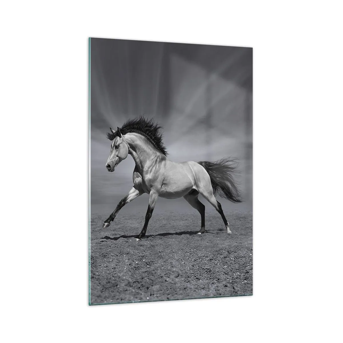 Glasbild - Bild auf glas - Ein schwarz-weißes Pferd in einer dynamischen Pose in der Wüste. - 70x100cm - Geboren um Freude zu bereiten - Moderne Wanddekoration für Wohnzimmer und Schlafzimmer ARTTOR