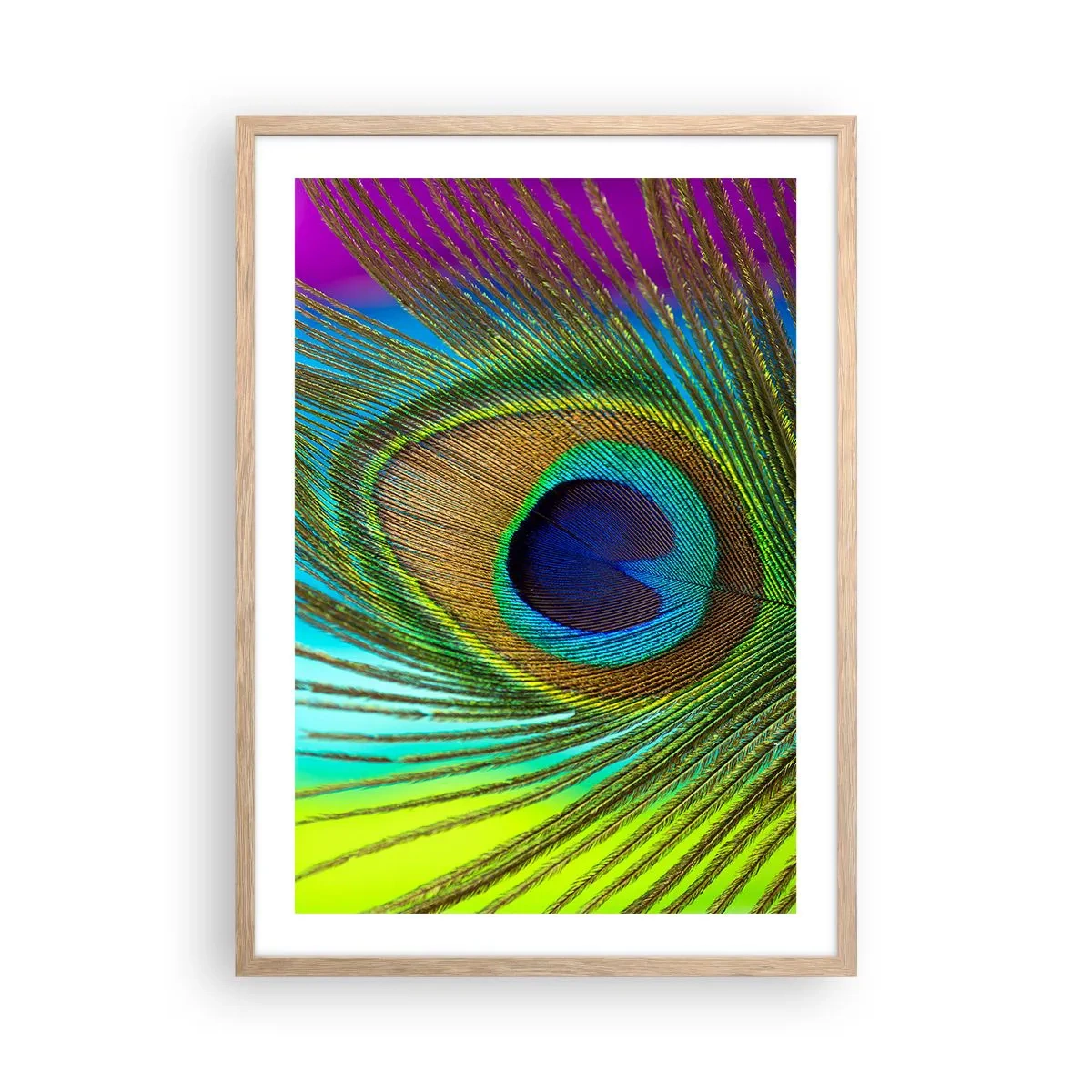 Poster in einem Rahmen aus heller Eiche - Auge in Auge - 50x70 cm