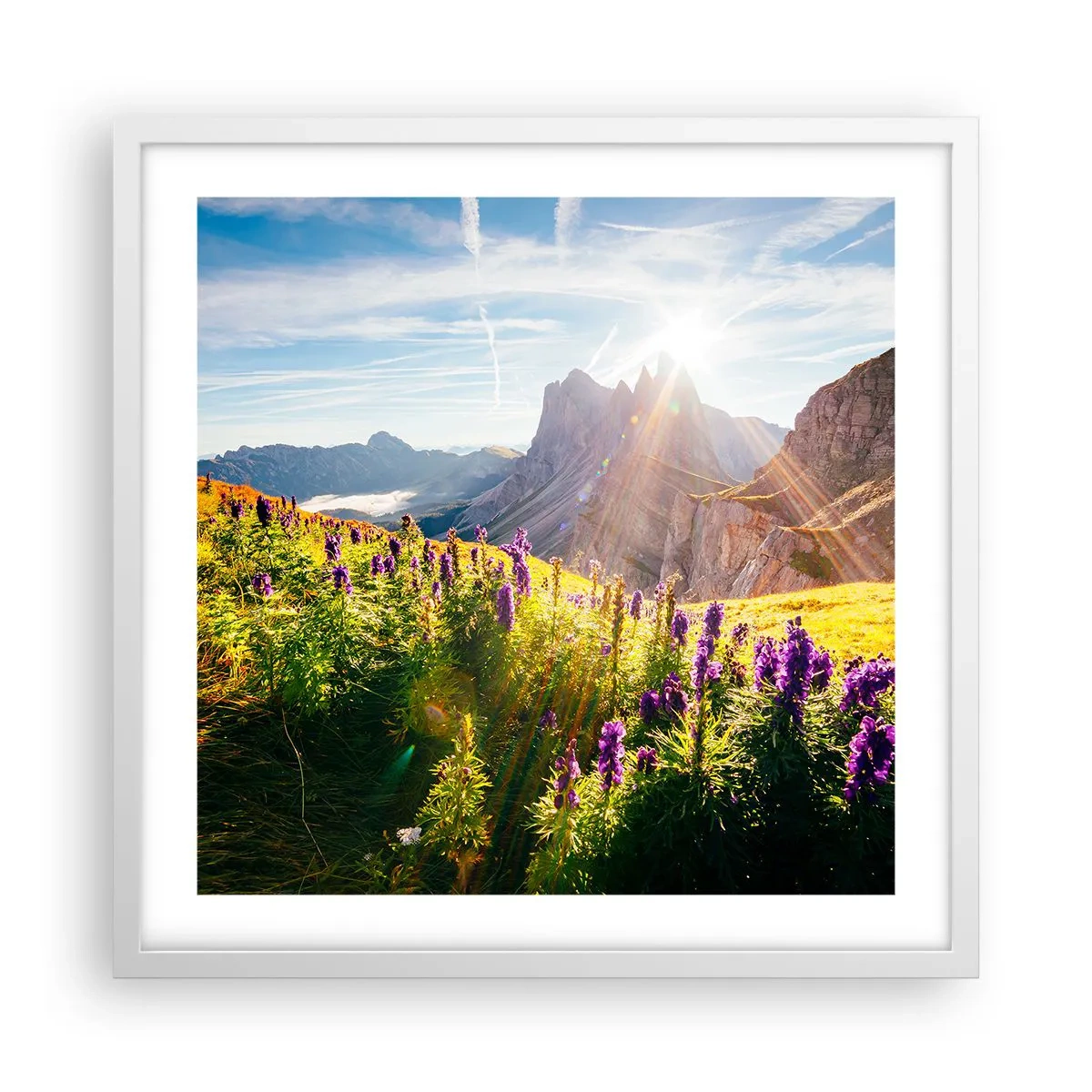 Poster in einem weißen Rahmen - Das geheime Leben der Kräuter - 50x50 cm