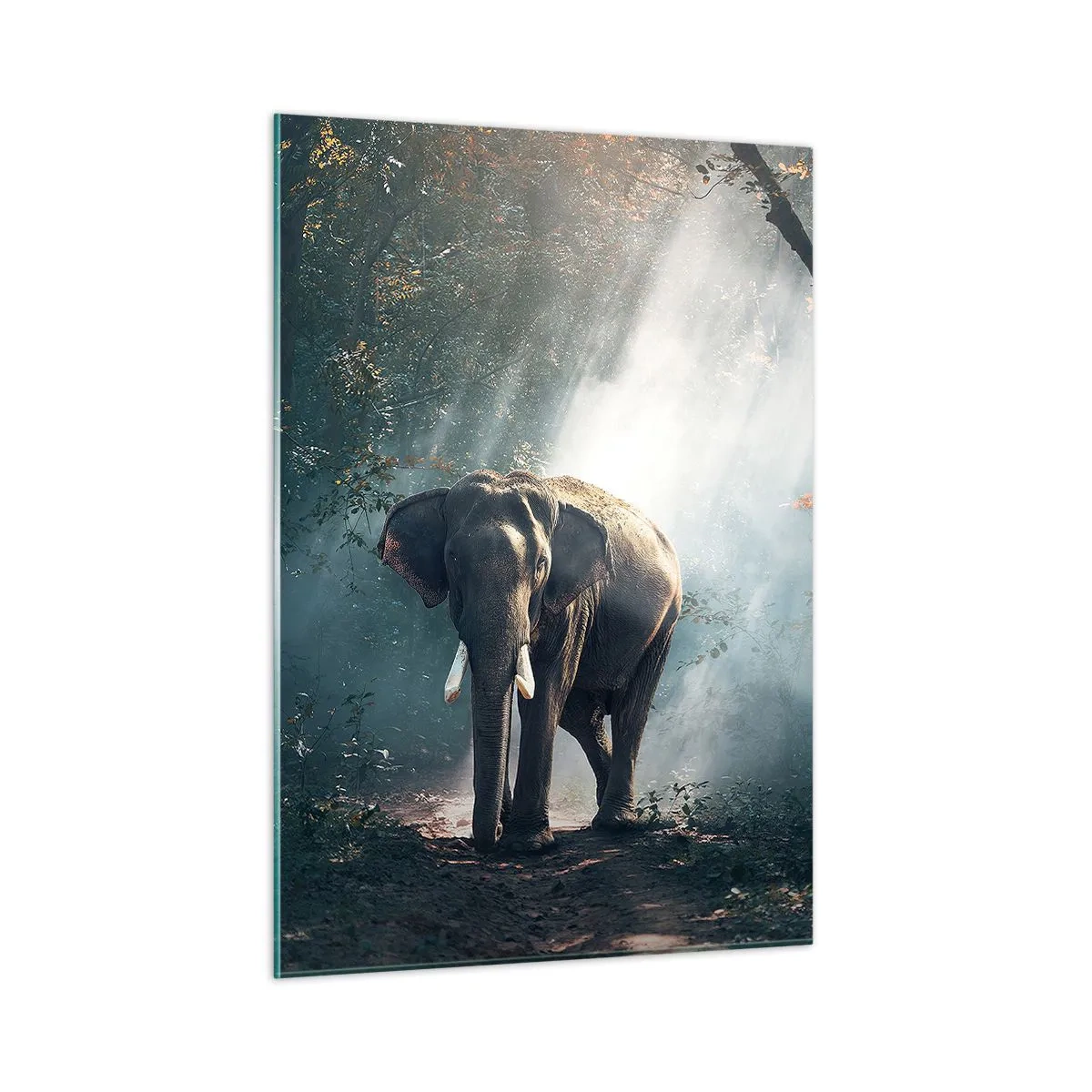 Glasbild - Bild auf glas - Ein Elefant läuft durch den Wald, während das Sonnenlicht durch die Bäume fällt. - 50x70cm - Ein gemütlicher Spaziergang - Moderne Wanddekoration für Wohnzimmer und Schlafzimmer ARTTOR