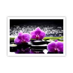 Poster - In Ruhe ertrinken - 91x61 cm