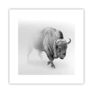 Poster - König der Prärie - 30x30 cm