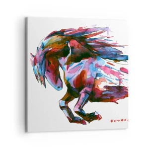 Bild auf Leinwand - Leinwandbild - In Verzückung - 50x50 cm