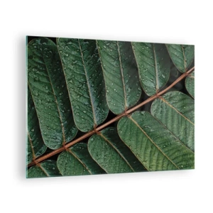 Glasbild - Bild auf glas - Nahaufnahme von grünen Blättern mit Wassertropfen - 70x50cm - Im grünen Rhythmus - Moderne Wanddekoration für Wohnzimmer und Schlafzimmer ARTTOR