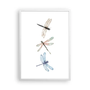 Poster in einem weißen Rahmen - Schwerelose Libellen - 50x70 cm