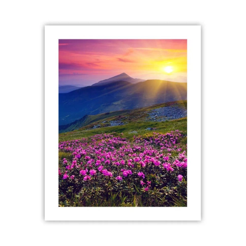 Poster - … Und drumherum duftet es nach Latschenkiefer und dem Duft von Kräutern - 40x50 cm
