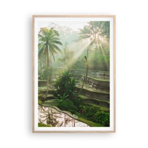 Poster in einem Rahmen aus heller Eiche - In der Sonne aufwachsen - 70x100 cm