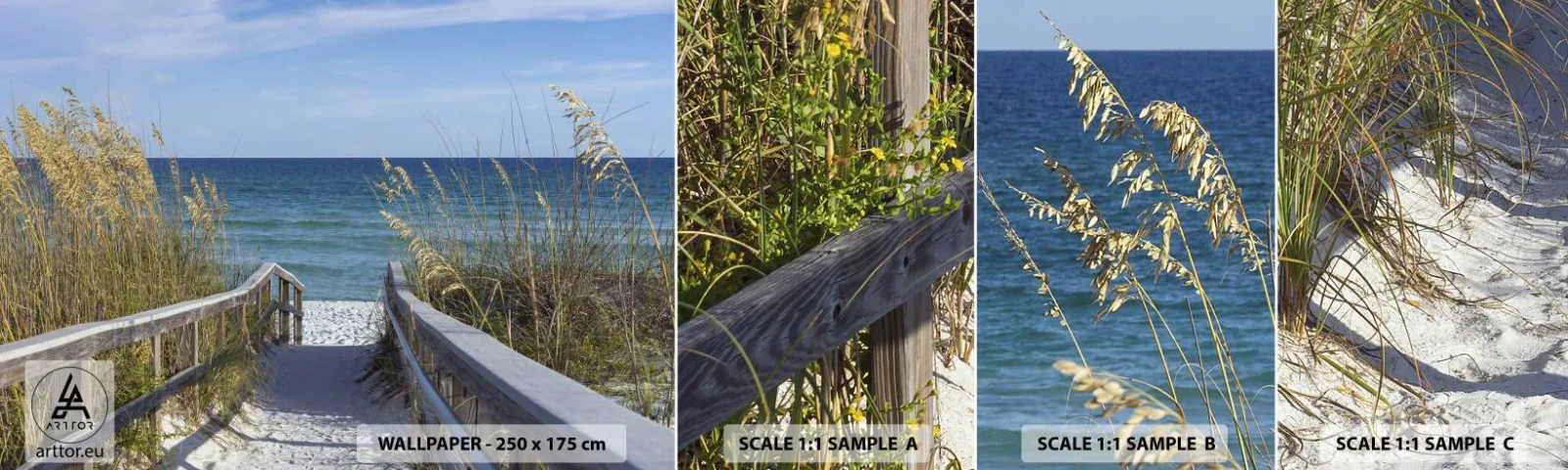 Fototapetenmuster Standard Eco - In der Sonne, im Wind - Landschaft, Meeresdüne, Meer - 100x30 cm