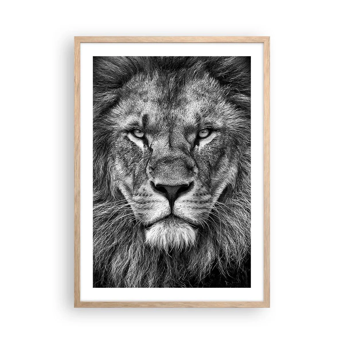 Poster in einem Rahmen aus heller Eiche - Im Krönungsgewand - 50x70 cm