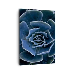 Bild auf Leinwand - Leinwandbild - Nahaufnahme einer grünen Sukkulentenrosette - 50x70cm - Wüstenblume - Moderne Wanddekoration für Wohnzimmer und Schlafzimmer ARTTOR