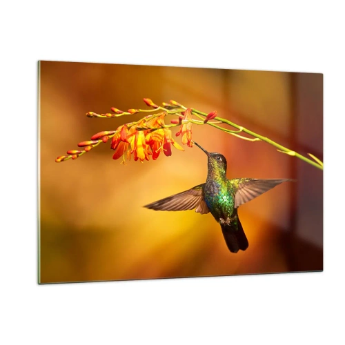 Glasbild - Bild auf glas - Kolibri neben Blumen in goldenem Glanz - 120x80cm - Ein Lichtbote nach den Maya - Moderne Wanddekoration für Wohnzimmer und Schlafzimmer ARTTOR