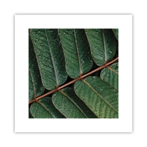 Poster - Im grünen Rhythmus - 30x30 cm