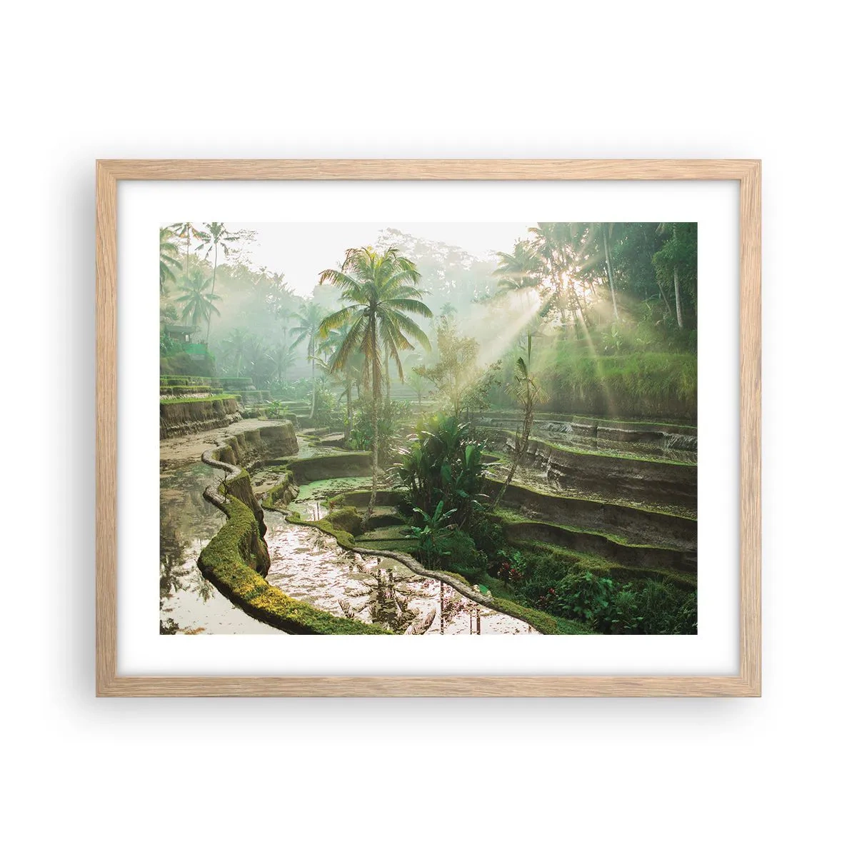 Poster in einem Rahmen aus heller Eiche - In der Sonne aufwachsen - 50x40 cm