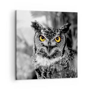 Bild auf Leinwand - Leinwandbild - Nichts wird sich verstecken - 60x60 cm