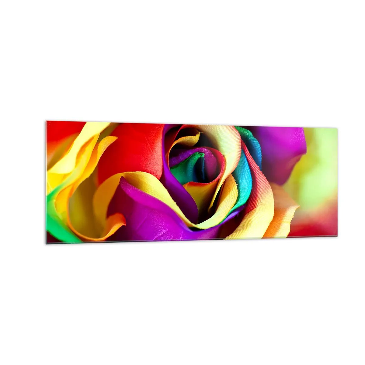 Glasbild - Bild auf glas - Eine bunte Rose in Regenbogenfarben - 140x50cm - Es ist unmöglich - Moderne Wanddekoration für Wohnzimmer und Schlafzimmer ARTTOR