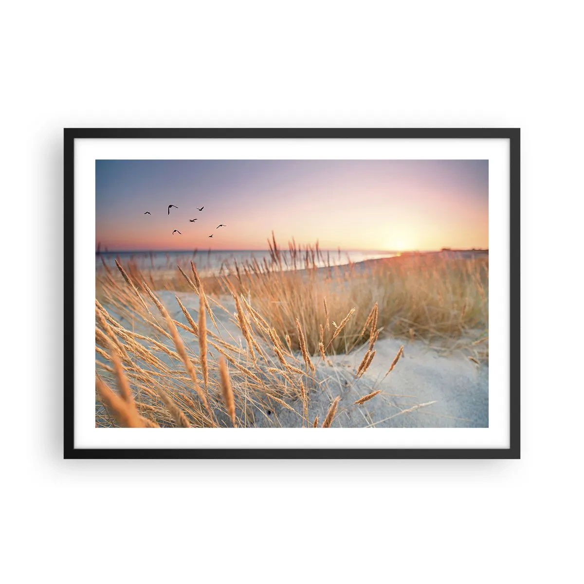 Poster in einem schwarzem Rahmen - Sonnenuntergangsstrand mit hohem Gras - 70x50cm - Das baltische Wiegenlied - Moderne Wanddekoration für Wohnzimmer und Schlafzimmer ARTTOR