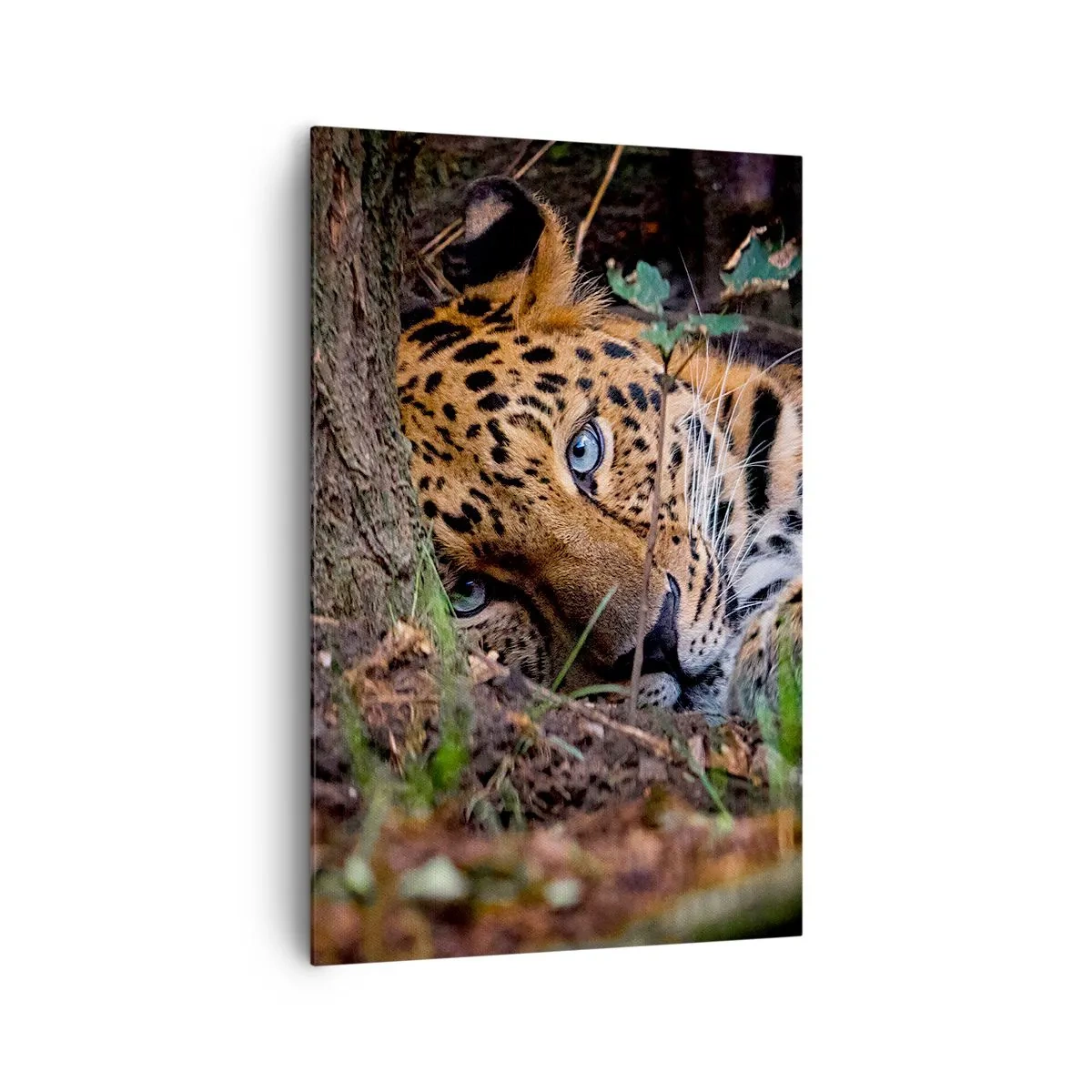 Bild auf Leinwand - Leinwandbild - Ein Leopard, der im Schatten der Bäume liegt - 80x120cm - Vertrau mir - Moderne Wanddekoration für Wohnzimmer und Schlafzimmer ARTTOR