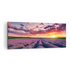 Bild auf Leinwand - Leinwandbild - Lavendel Welt - 100x40 cm